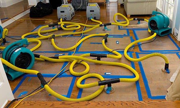 Professional Storm Water Damage Restoration technician working in Princeton, FL